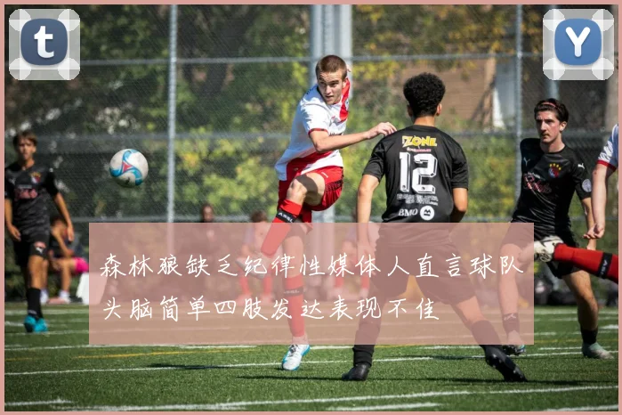 森林狼缺乏纪律性媒体人直言球队头脑简单四肢发达表现不佳