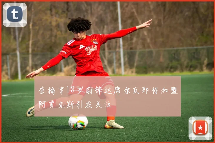 奈梅亨18岁前锋达席尔瓦即将加盟阿贾克斯引发关注