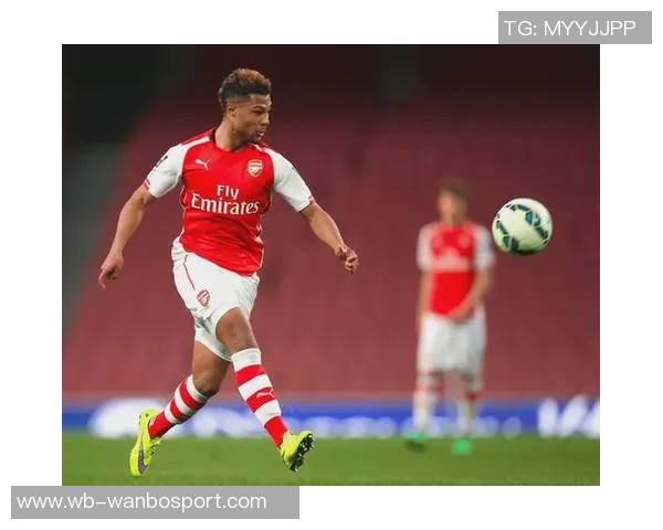 拜仁与格纳布里洽谈续约及降薪事宜前景乐观 拜仁与格纳布里洽谈续约及降薪事宜前景乐观