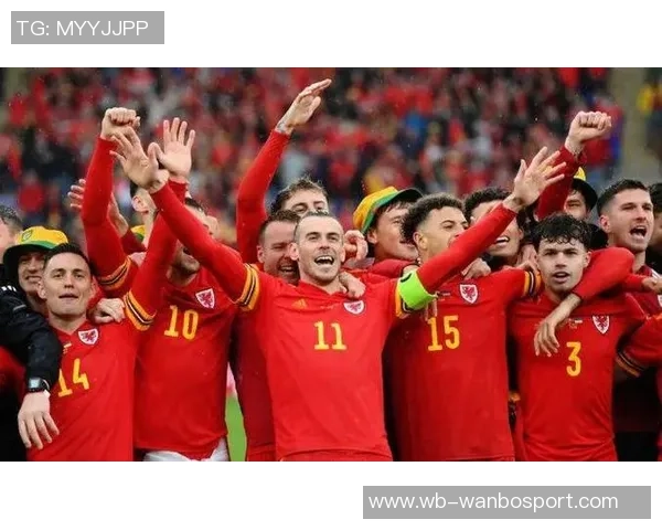 威尔士队长本戴维斯因腿筋受伤缺席世预赛最后两场比赛