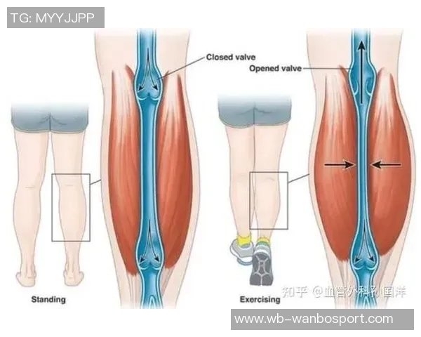 阿拉巴因右小腿比目鱼肌超负荷伤情将缺席比赛7到10天